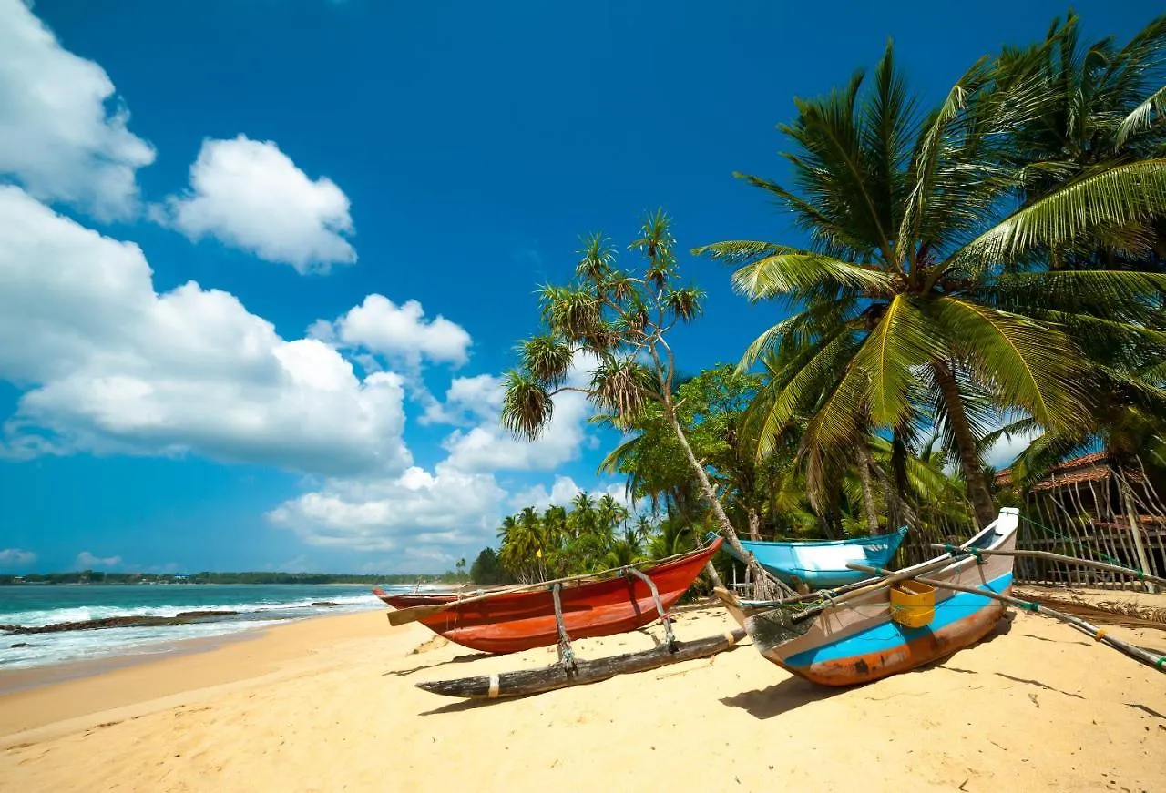Aloe Vera Villa Negombo 0*,