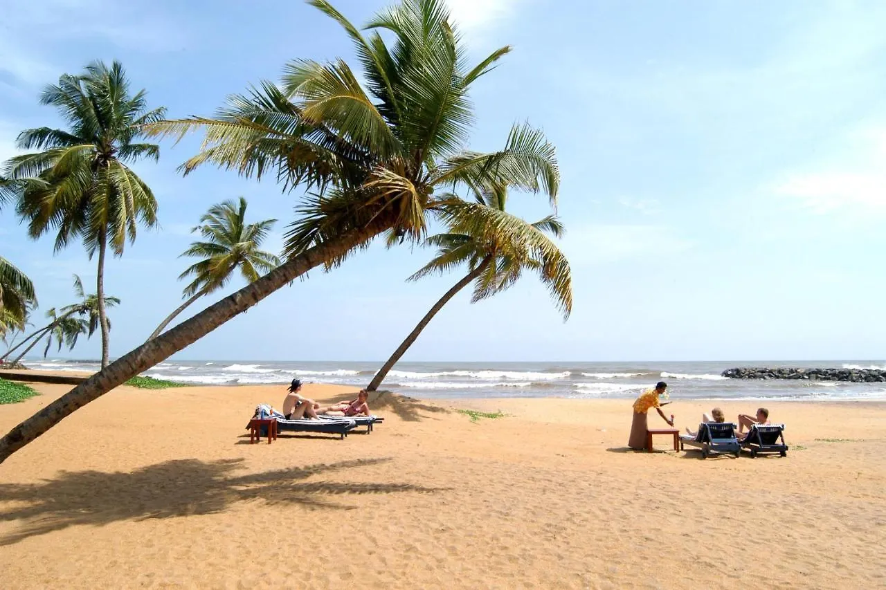 Aloe Vera Villa Negombo Guest house