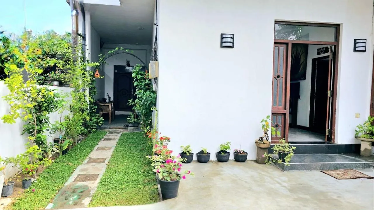Aloe Vera Villa Negombo 0*,