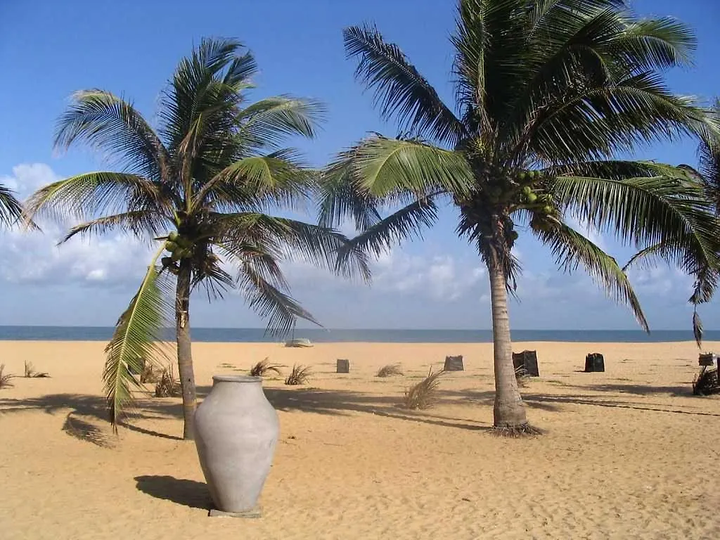 Aloe Vera Villa Negombo